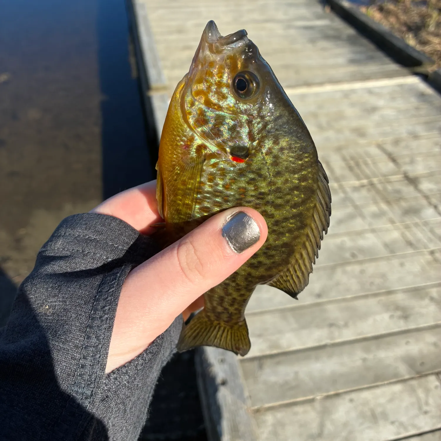 catch