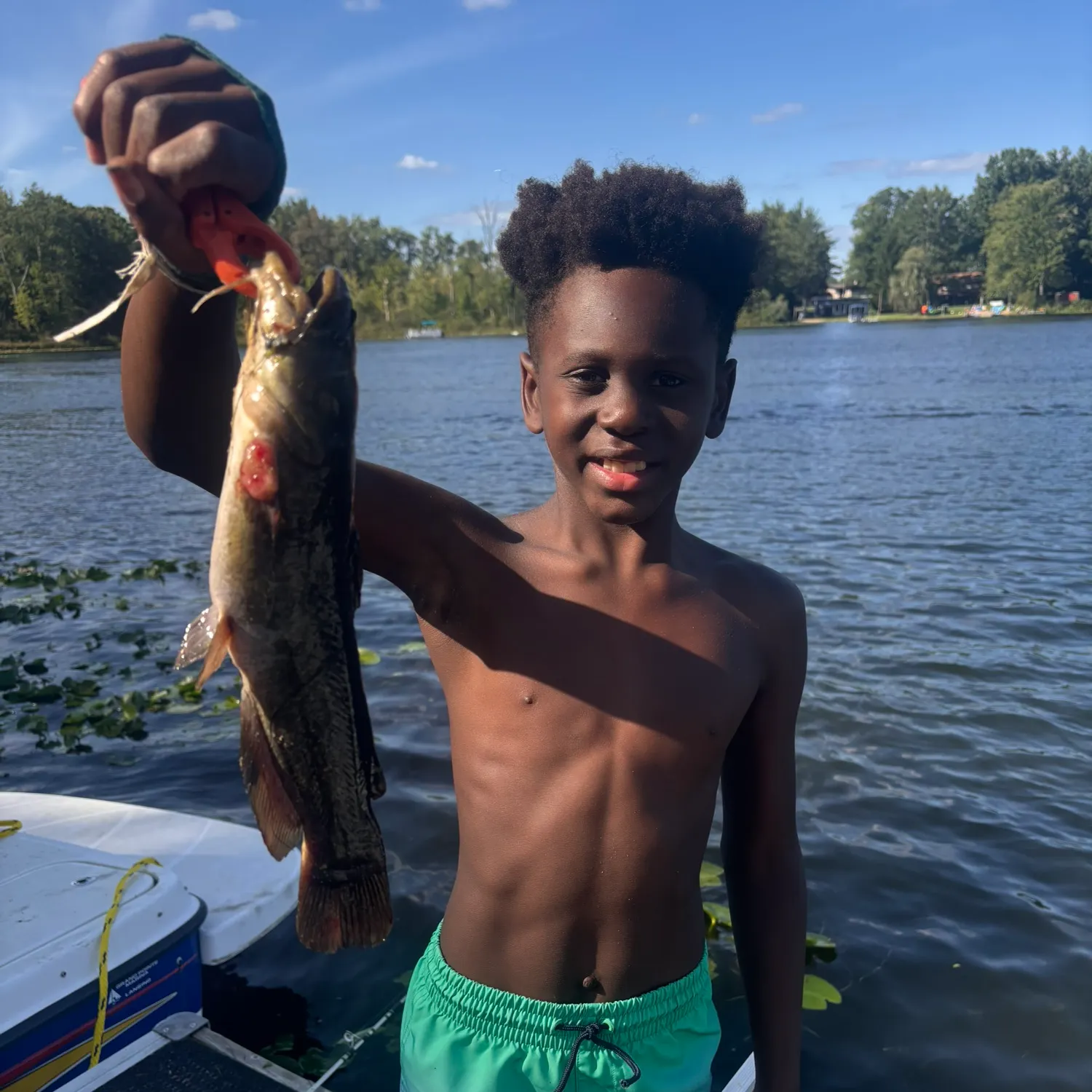 Eyetail bowfin caught on Fishbrain