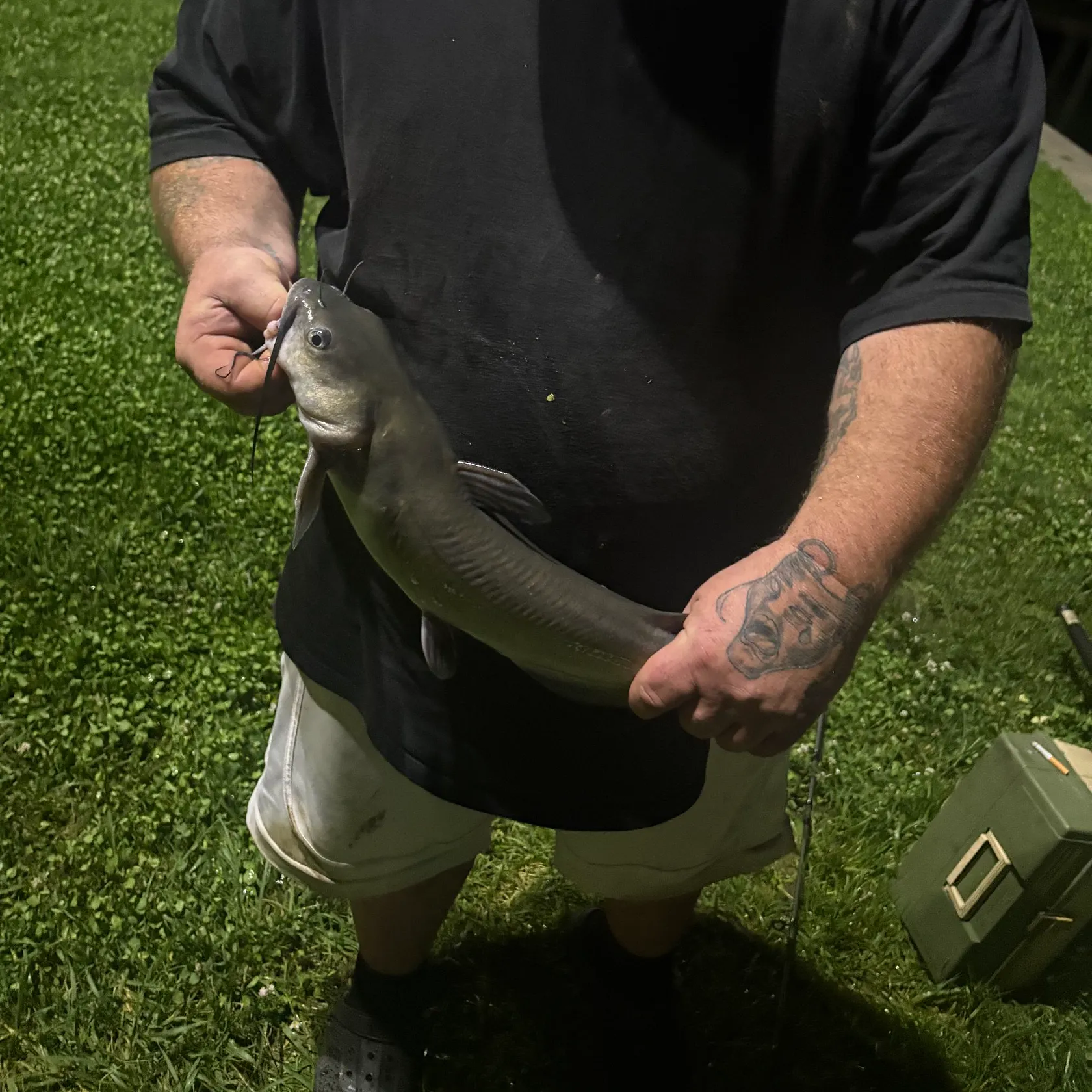 Channel catfish caught on Fishbrain