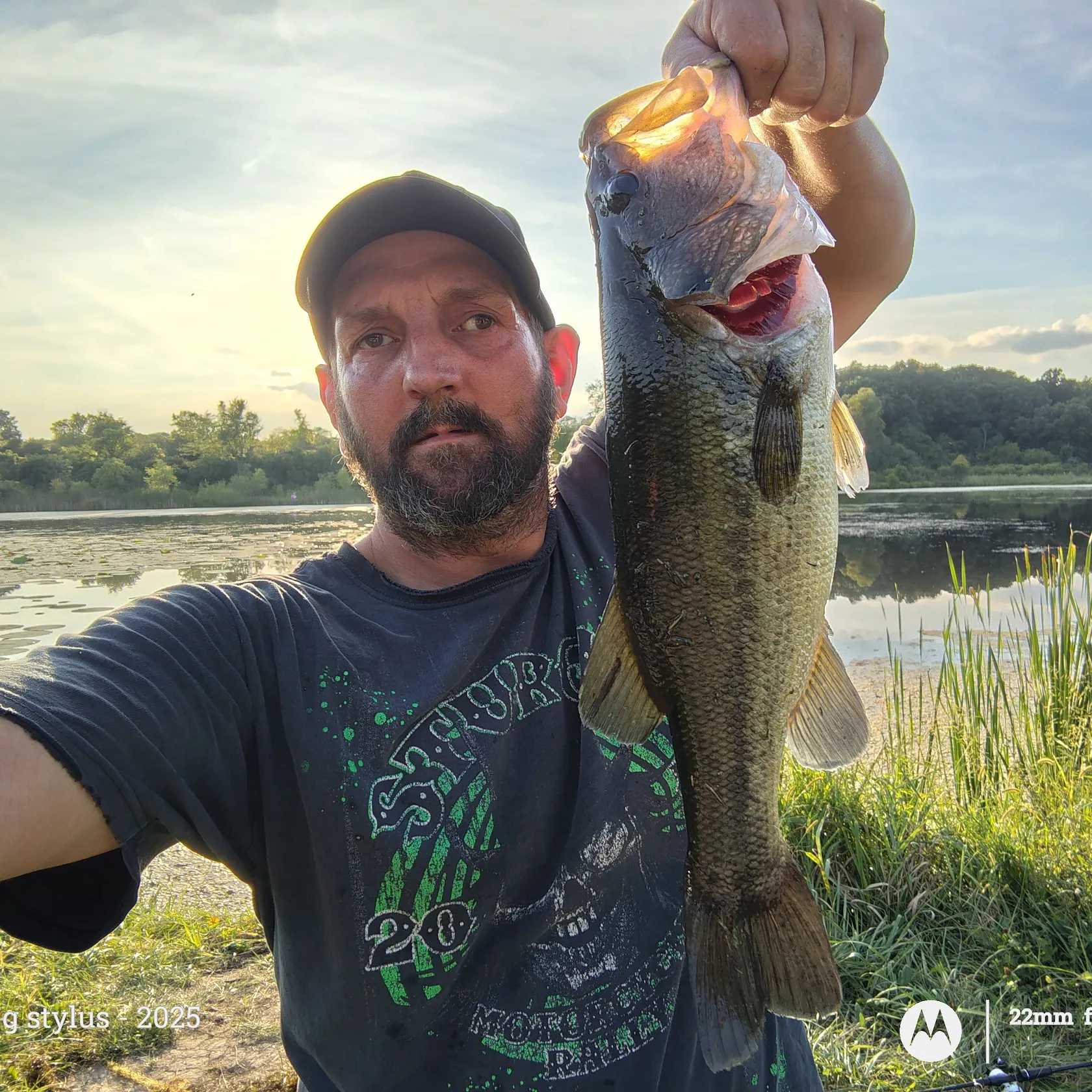 Largemouth bass caught on Fishbrain