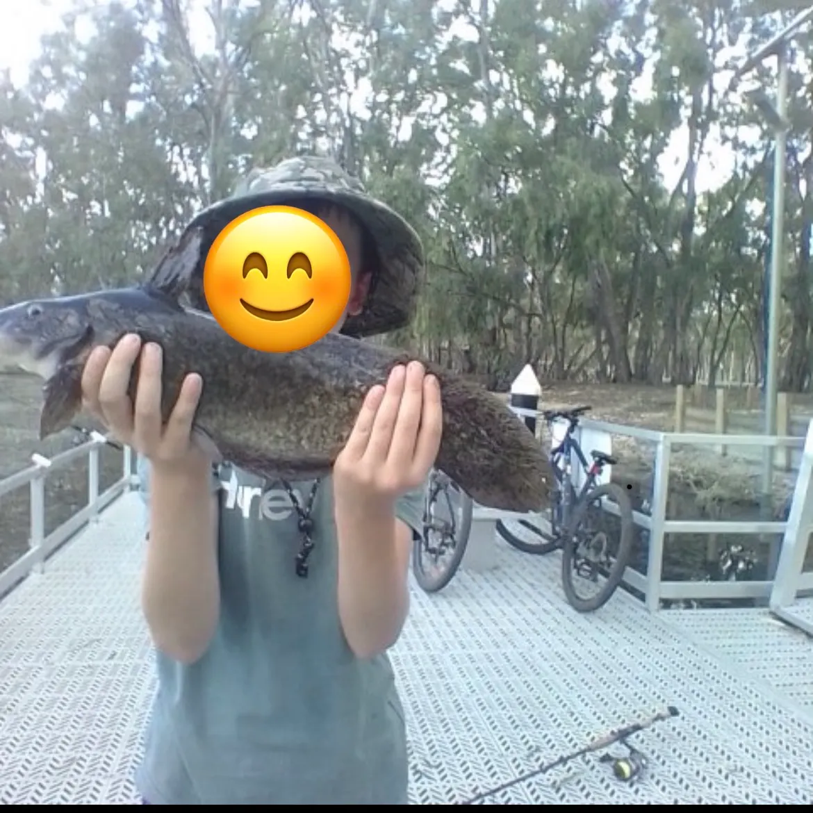 The most recent Dewfish catches on Fishbrain