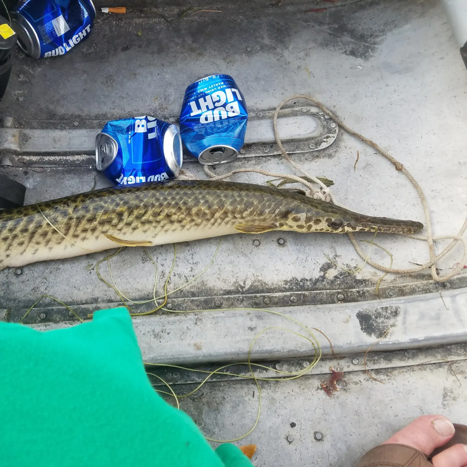 recently logged catches