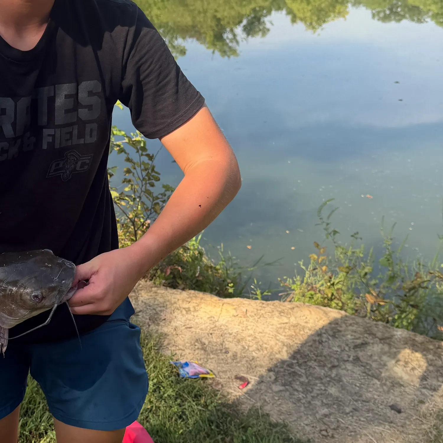 Channel catfish caught on Fishbrain