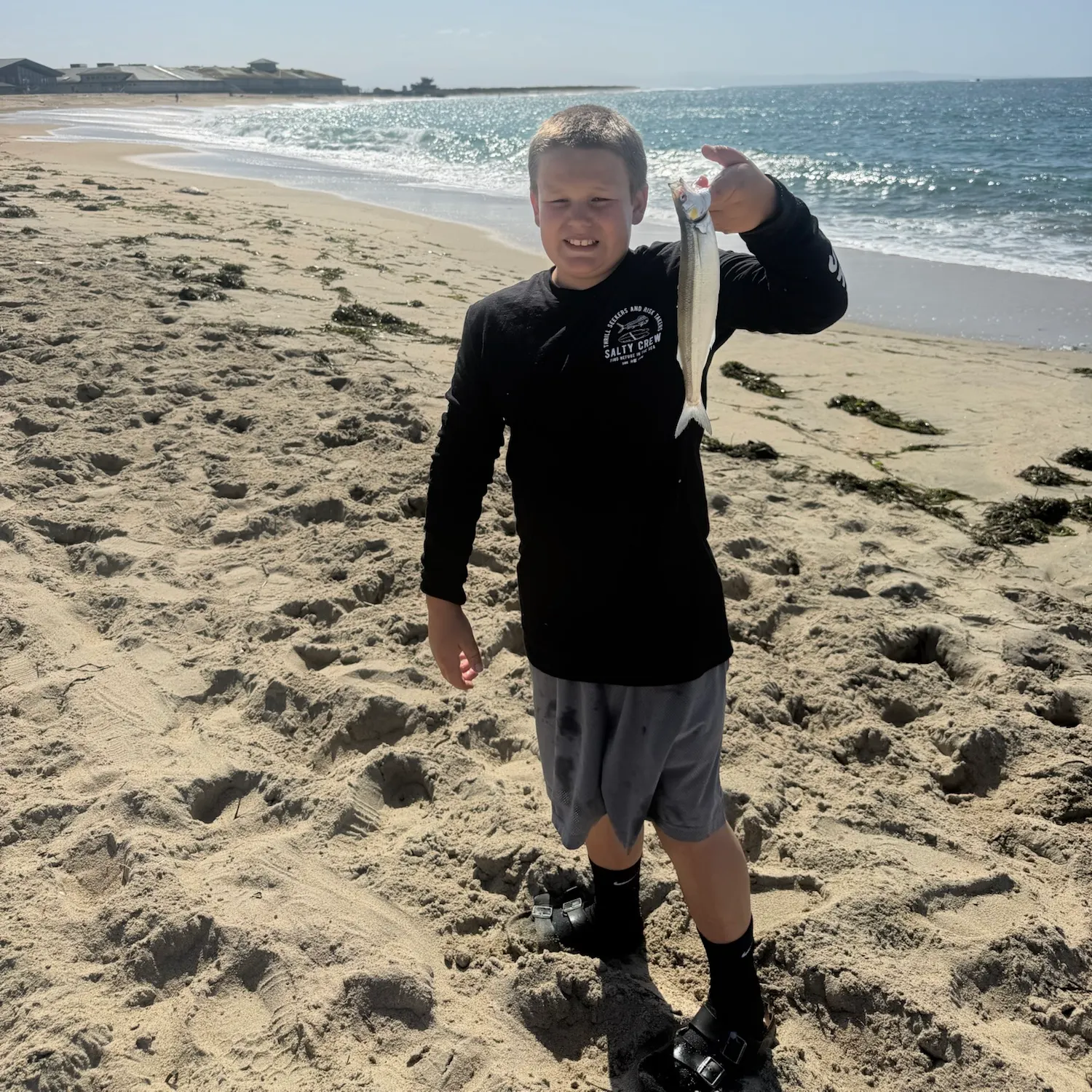 Jack silverside caught on Fishbrain