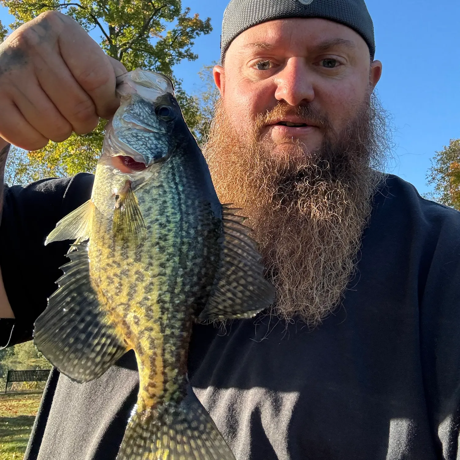 Black crappie caught on Fishbrain