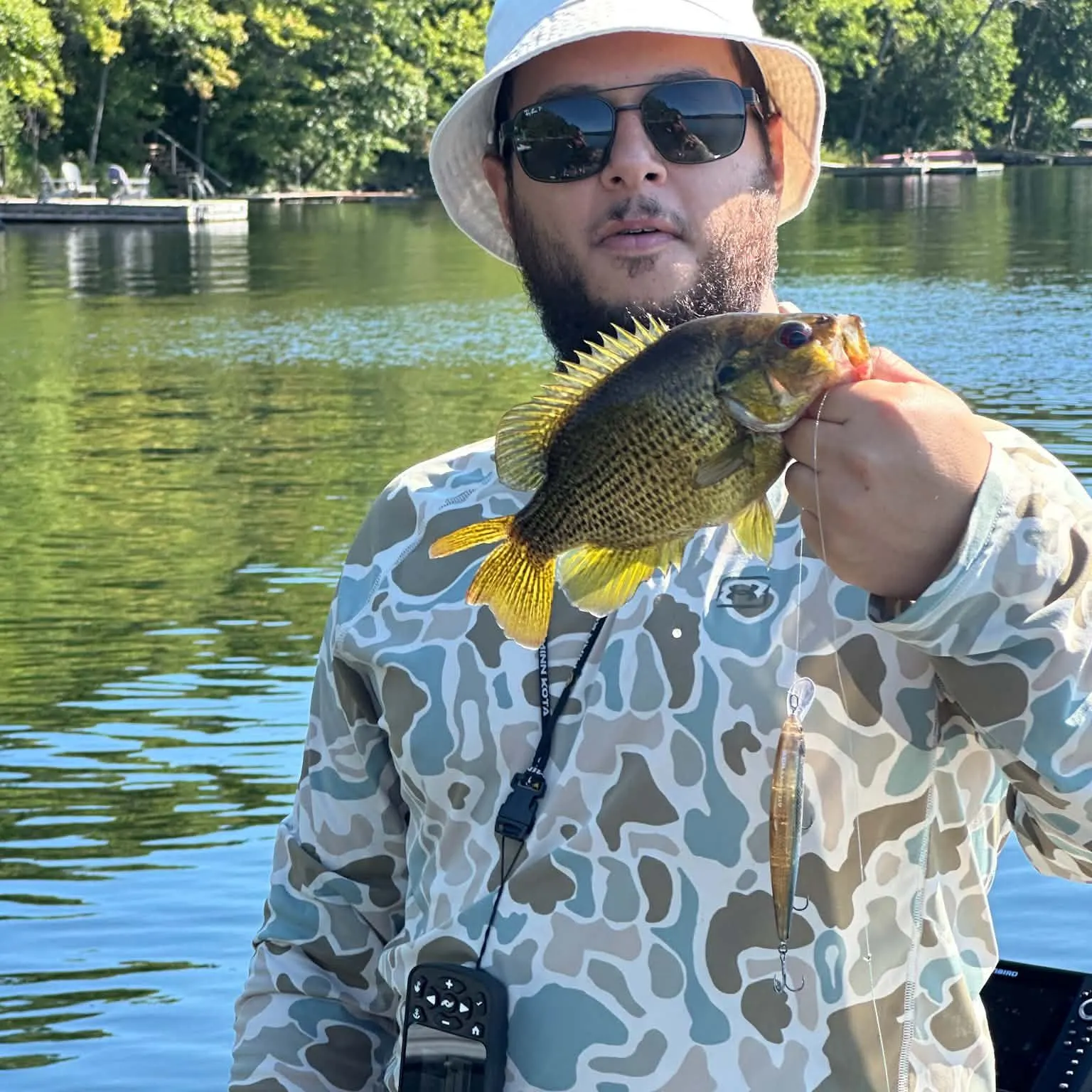 Rock bass caught on Fishbrain