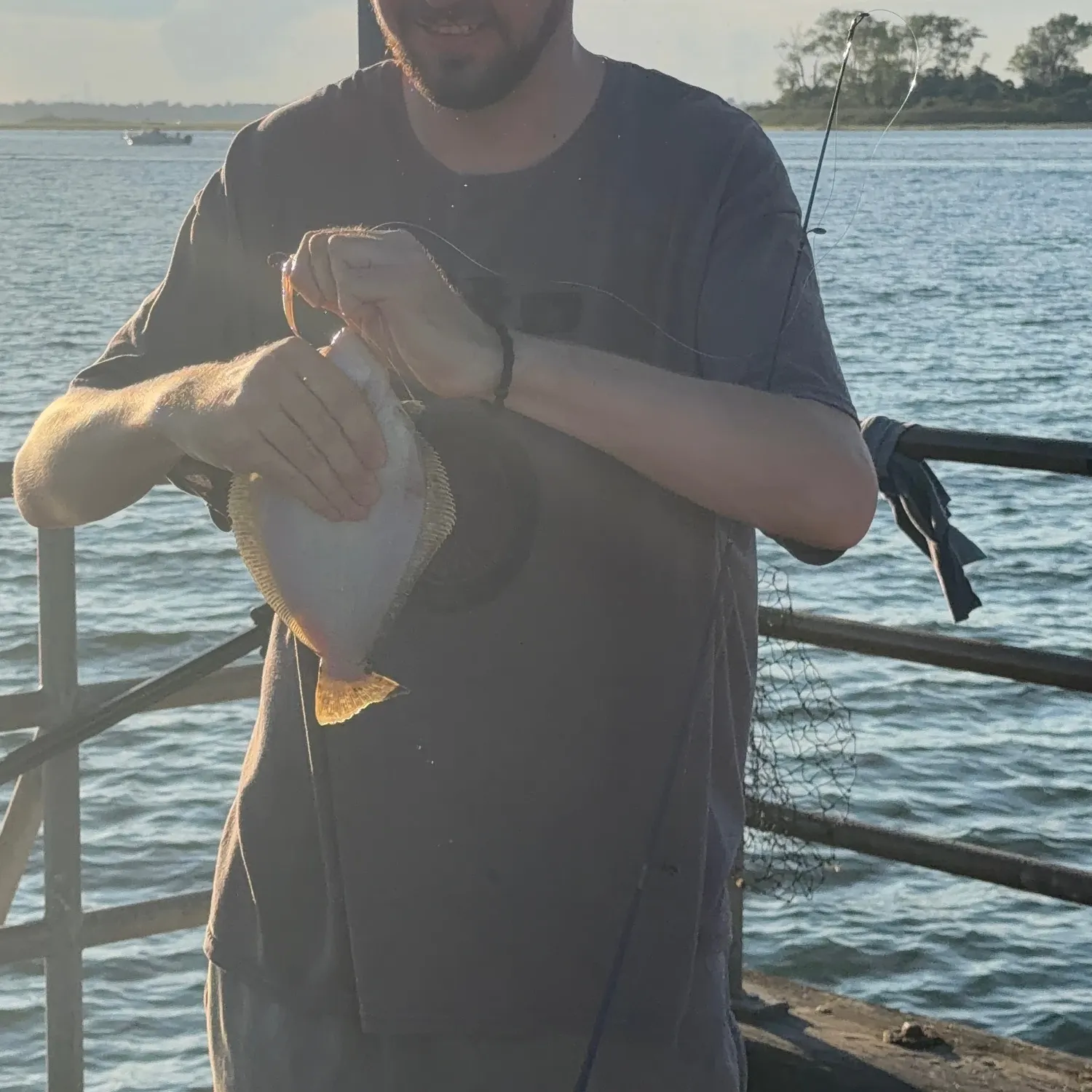 Summer flounder caught on Fishbrain