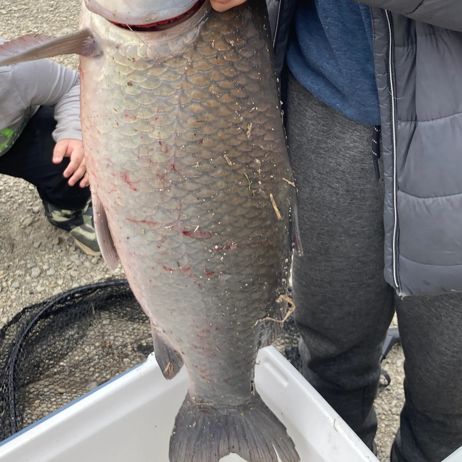 The most recent Black buffalo catches on Fishbrain