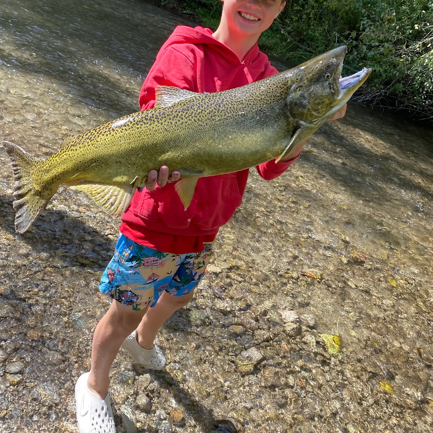 Chinook salmon caught on Fishbrain
