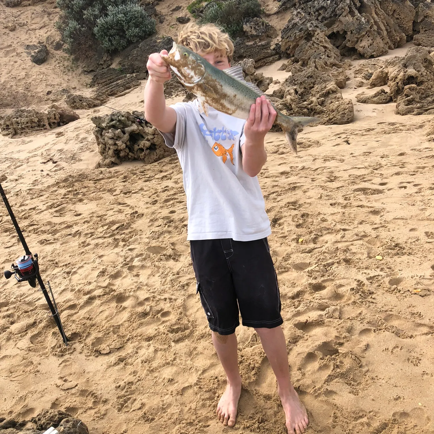Eastern Australian salmon caught on Fishbrain
