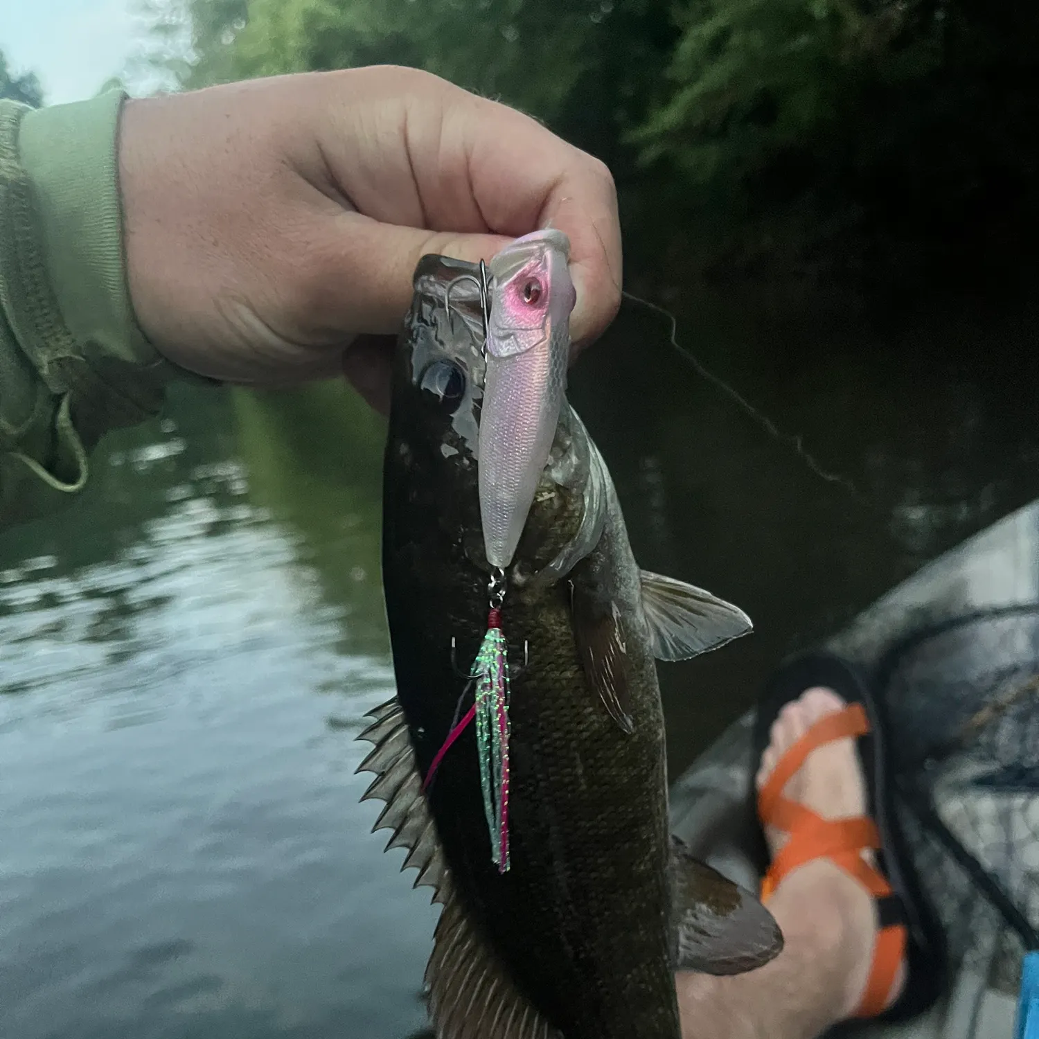 recently logged catches