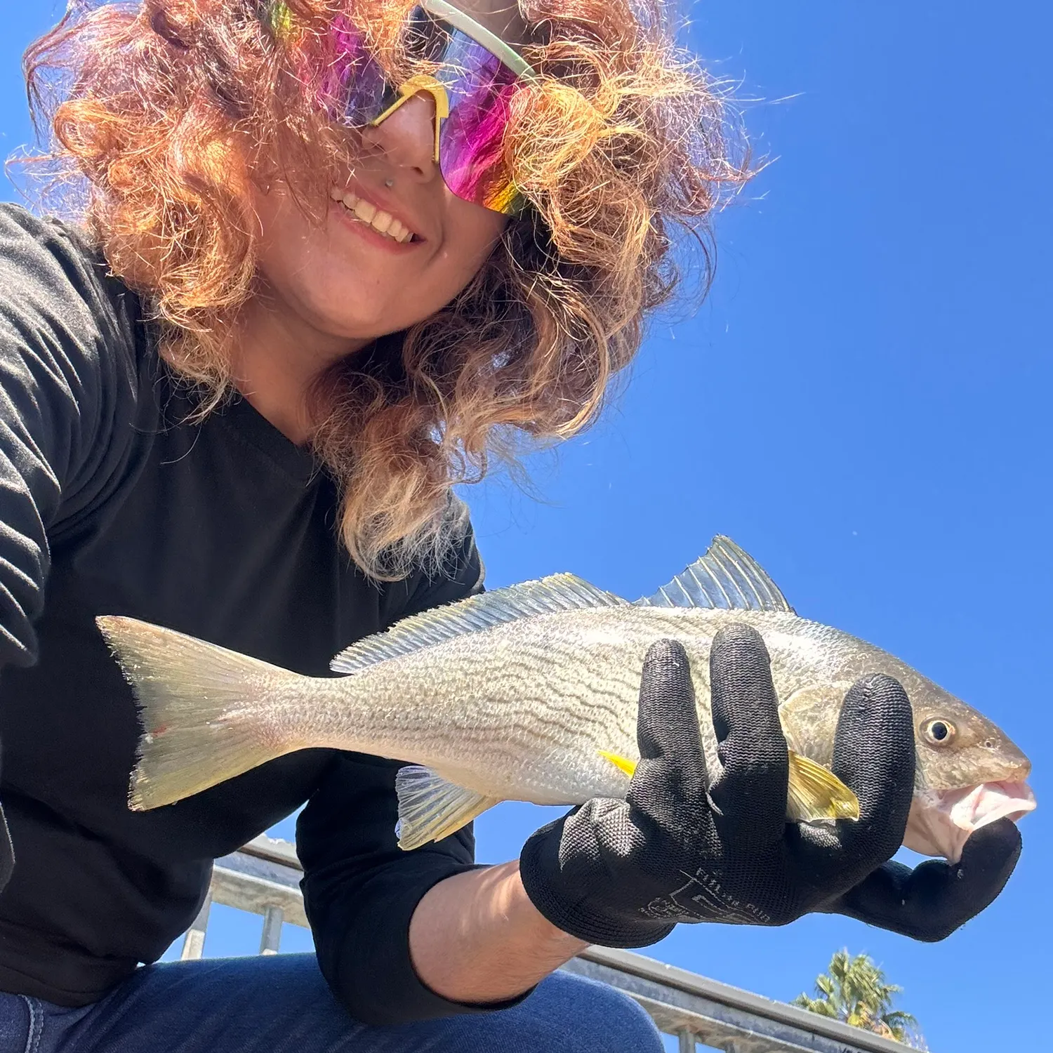 Yellowfin croaker caught on Fishbrain