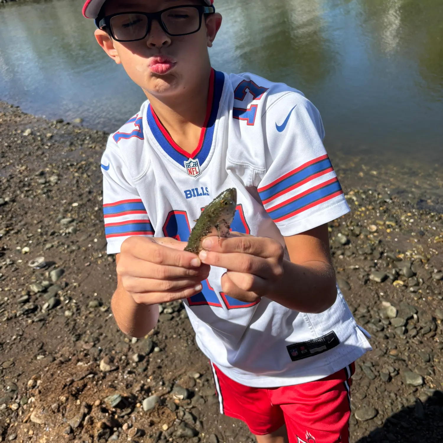 Northern kingcroaker caught on Fishbrain
