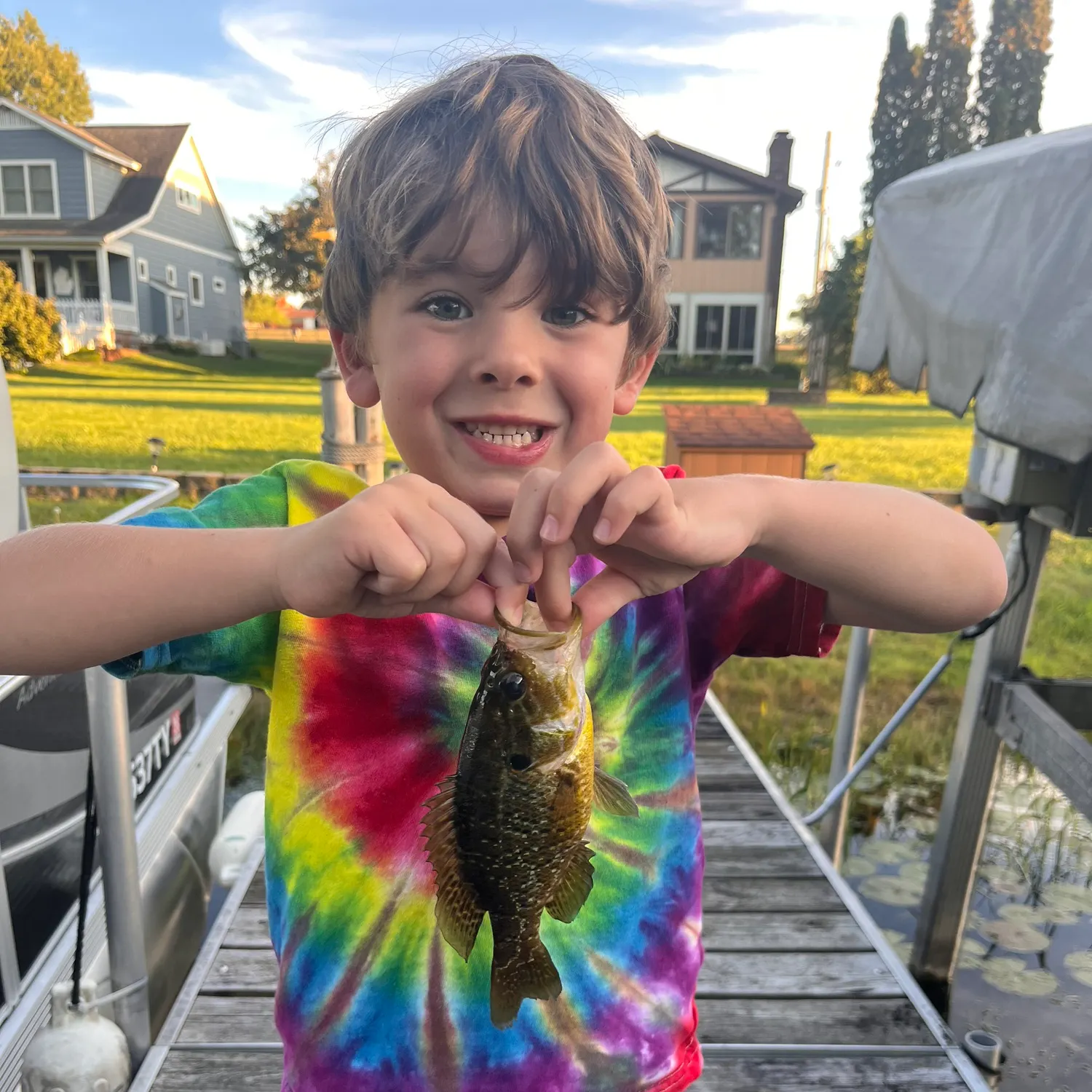 Warmouth caught on Fishbrain