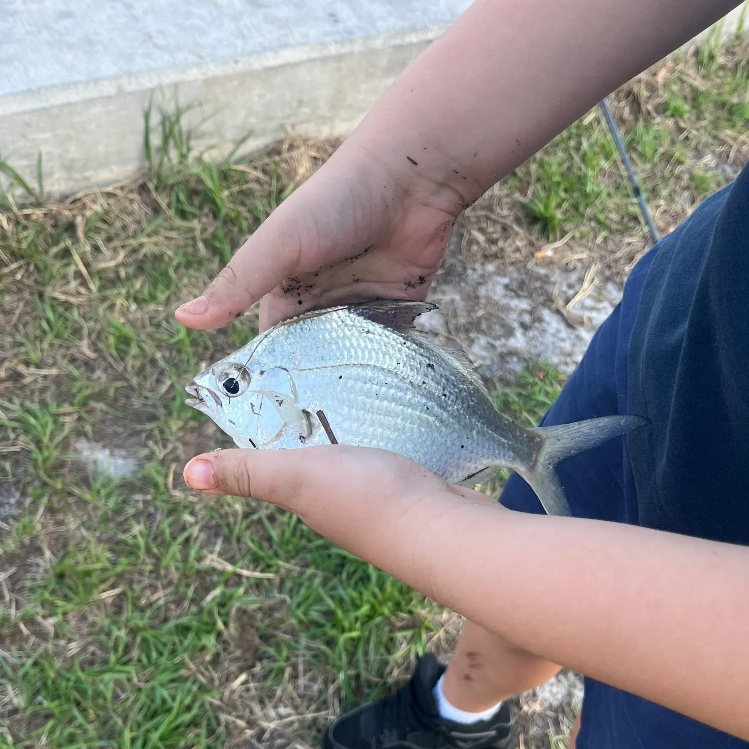 most liked catch image