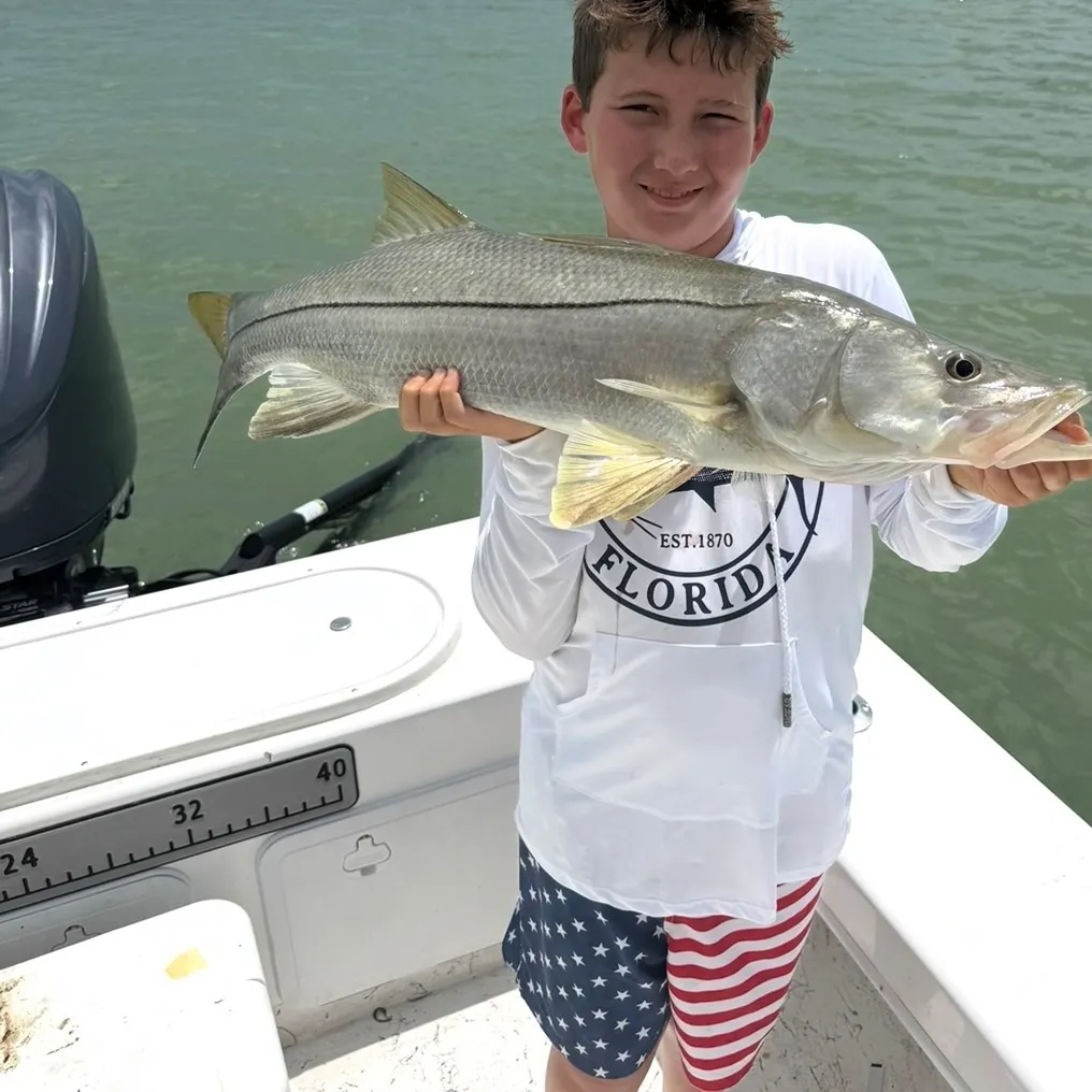 Common snook caught on Fishbrain