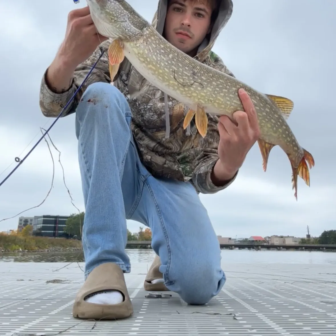 catch