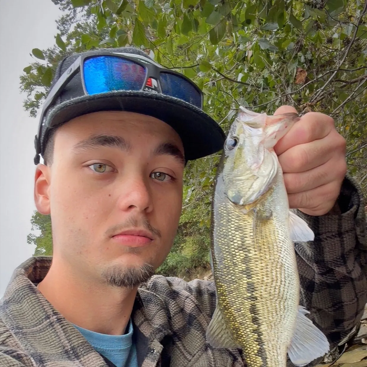 Spotted bass caught on Fishbrain