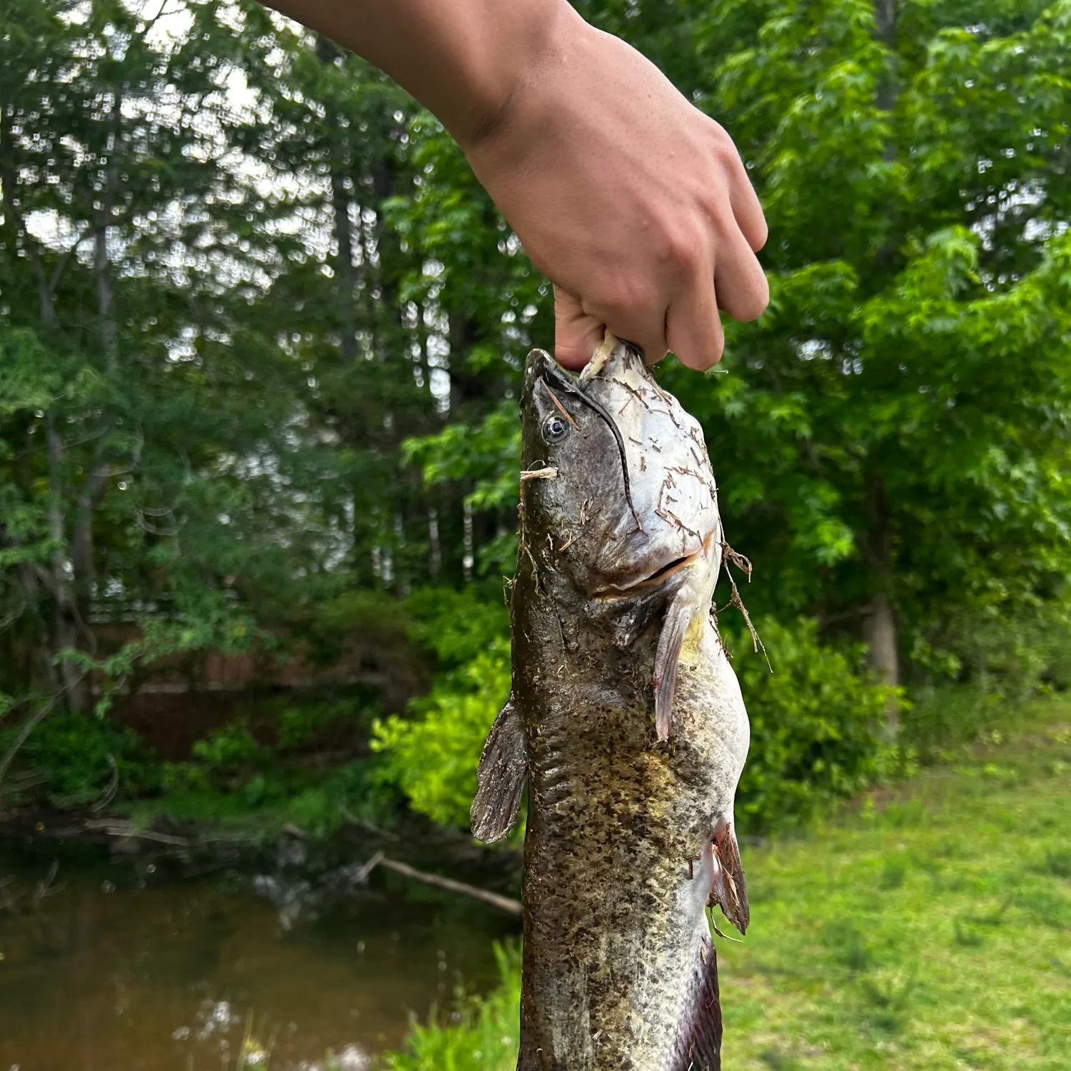 catch