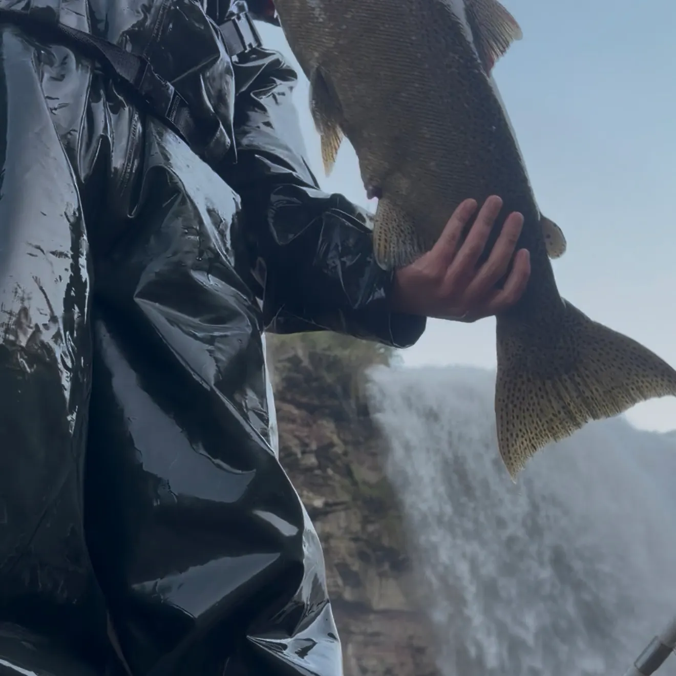 Chinook salmon caught on Fishbrain