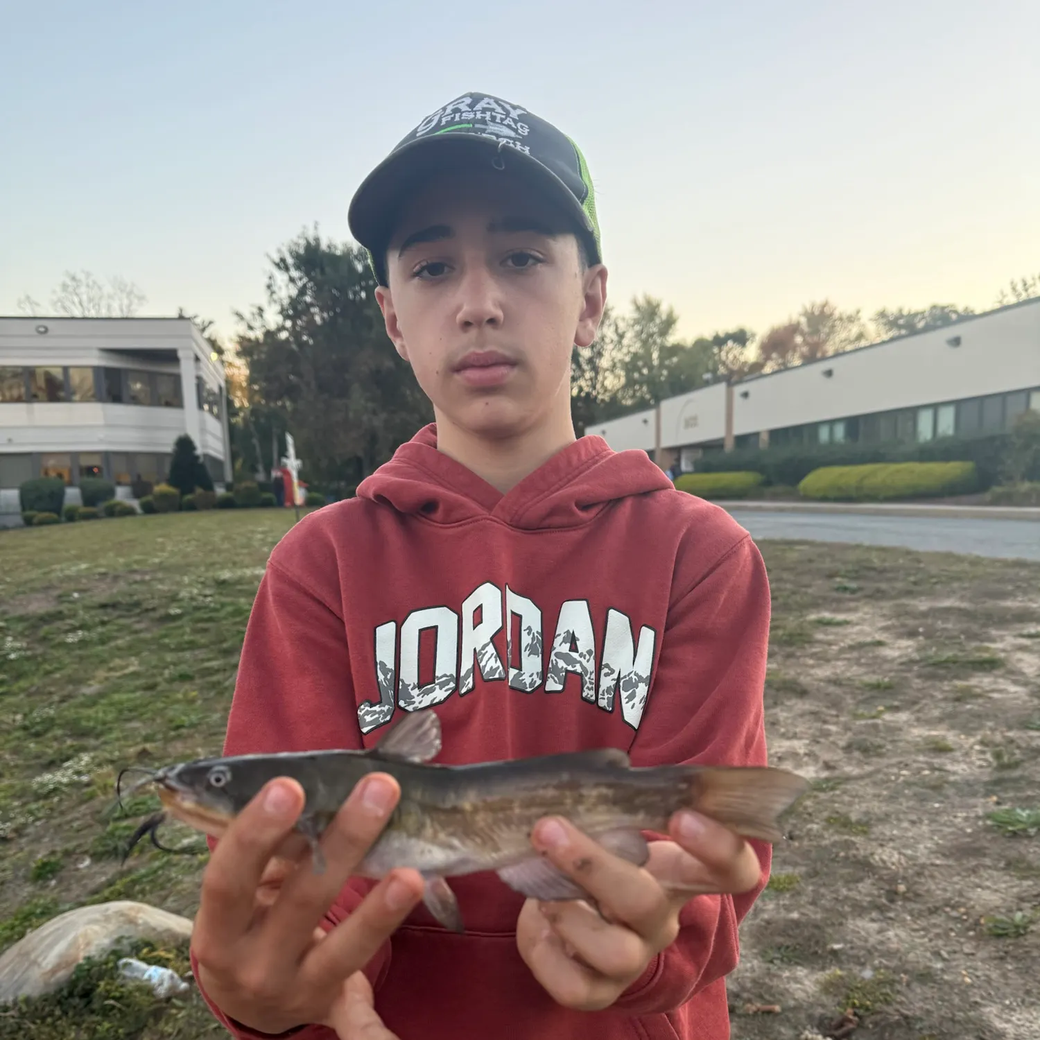 Brown bullhead caught on Fishbrain