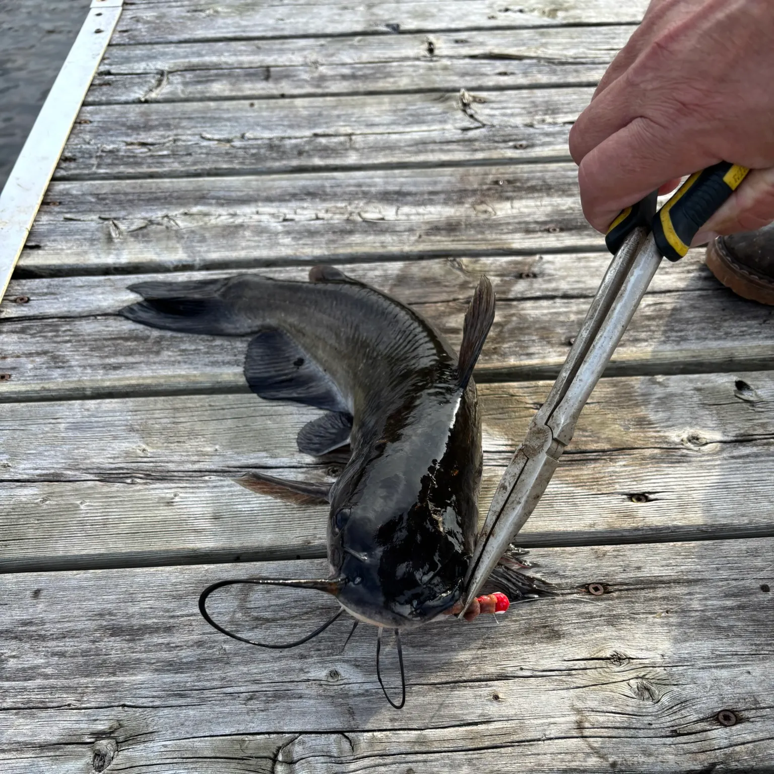 catch