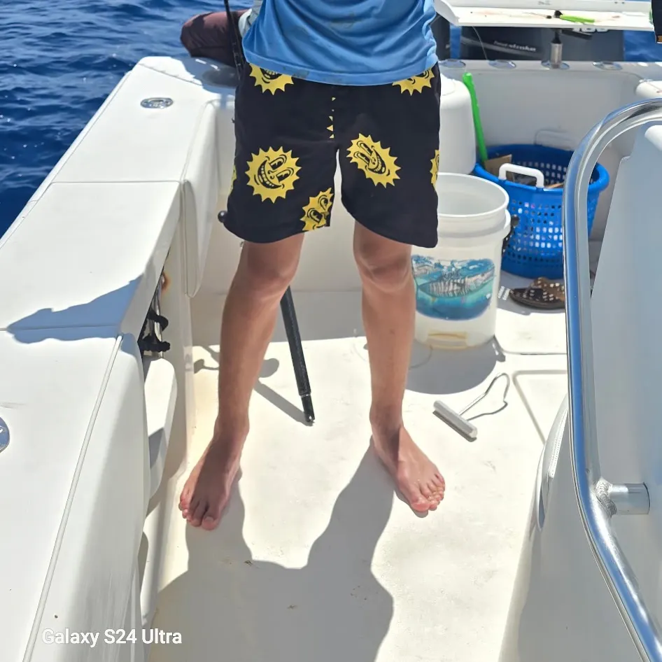 The most recent Black grouper catches on Fishbrain