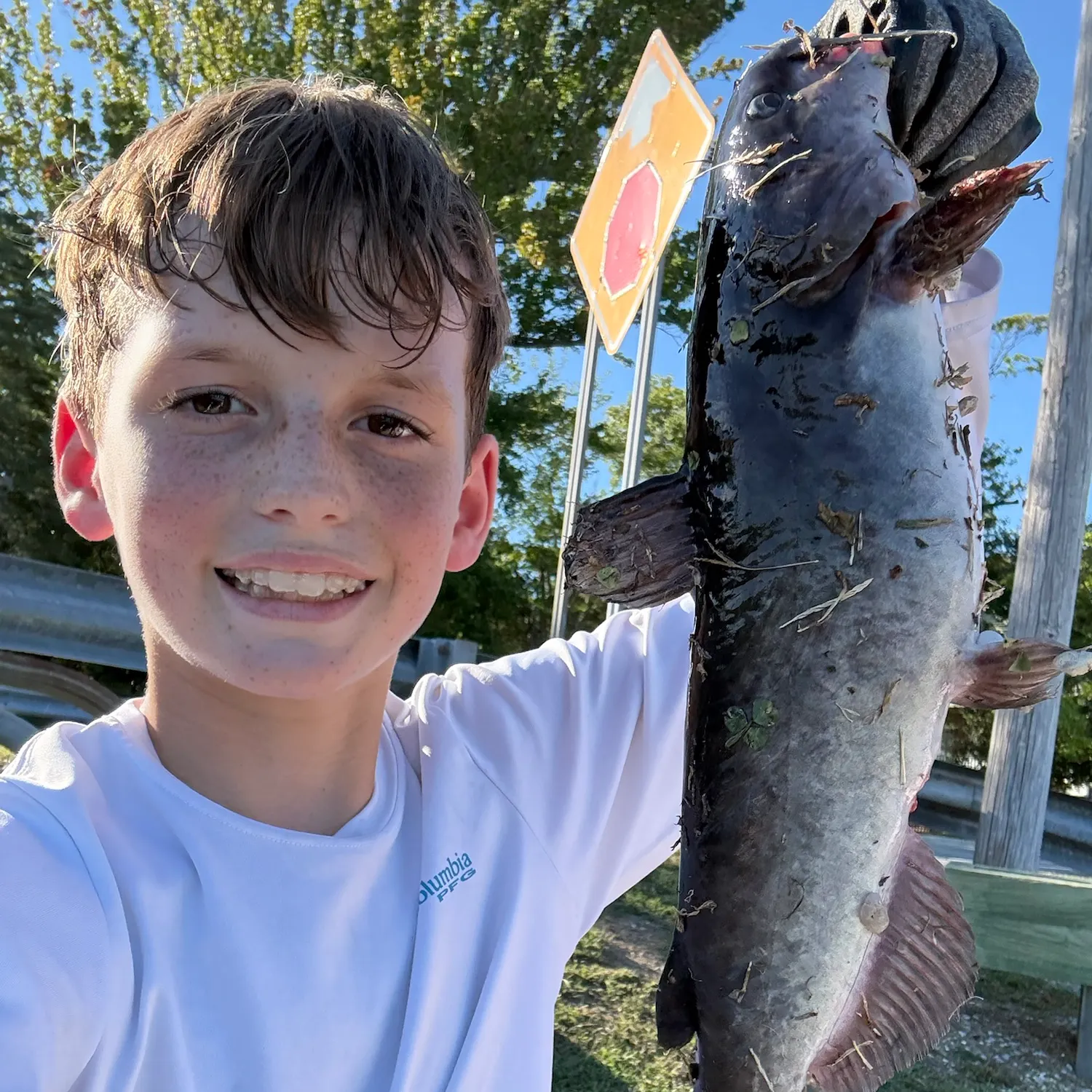 White bullhead caught on Fishbrain