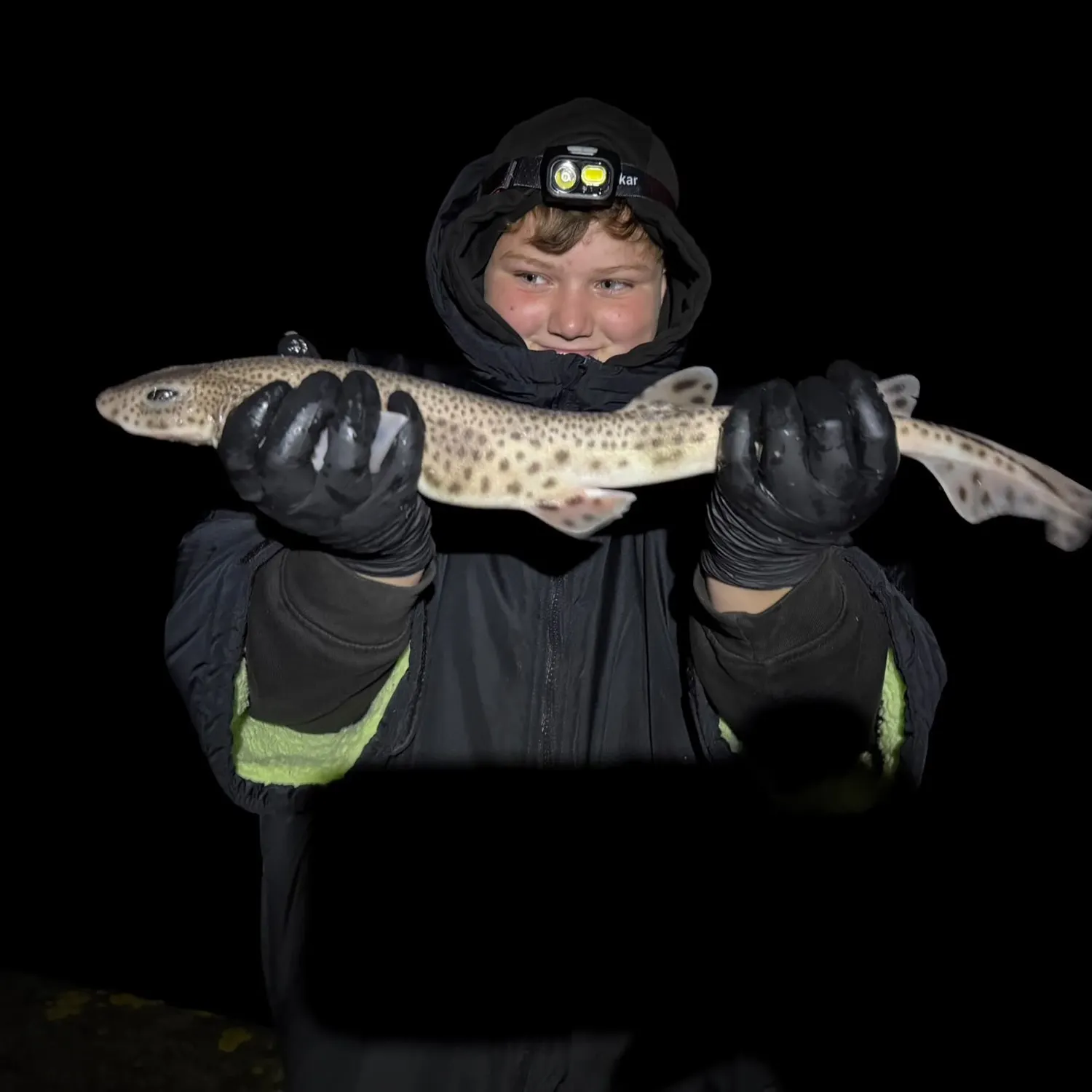 The most recent Lesser spotted dogfish catches on Fishbrain