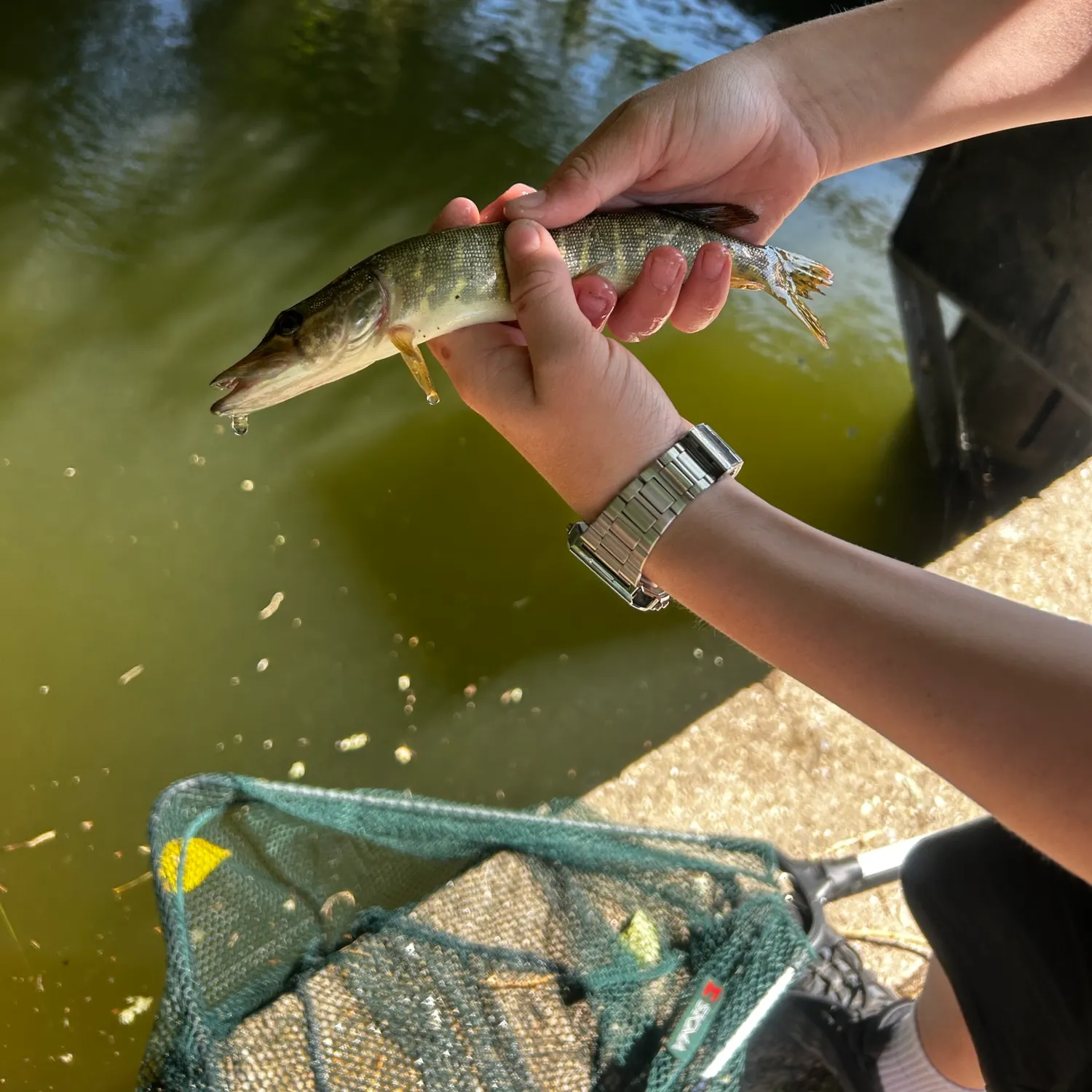 catch
