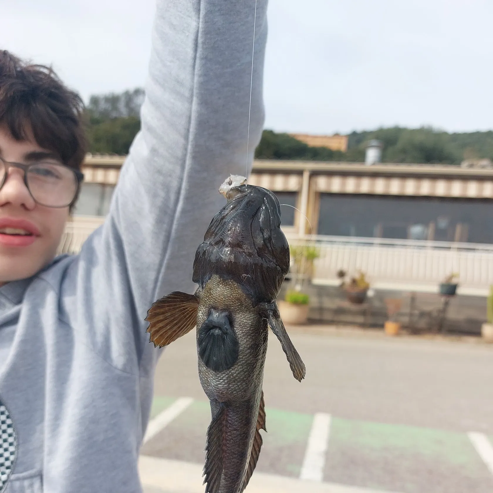 Fish caught on Fishbrain