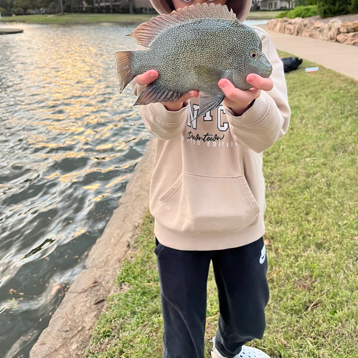 The most recent Rio Grande cichlid catches on Fishbrain