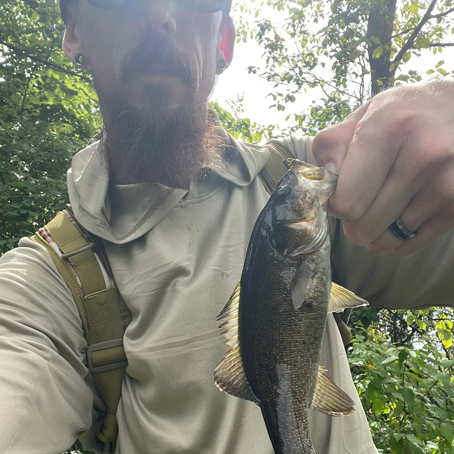 Smallmouth bass caught on Fishbrain