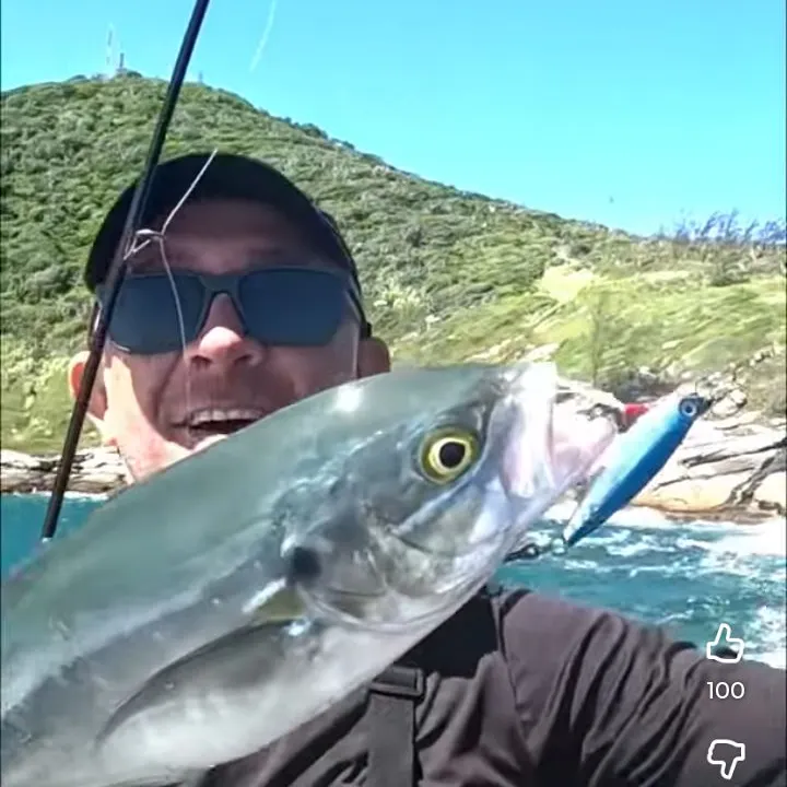 The most recent Lesser amberjack catches on Fishbrain