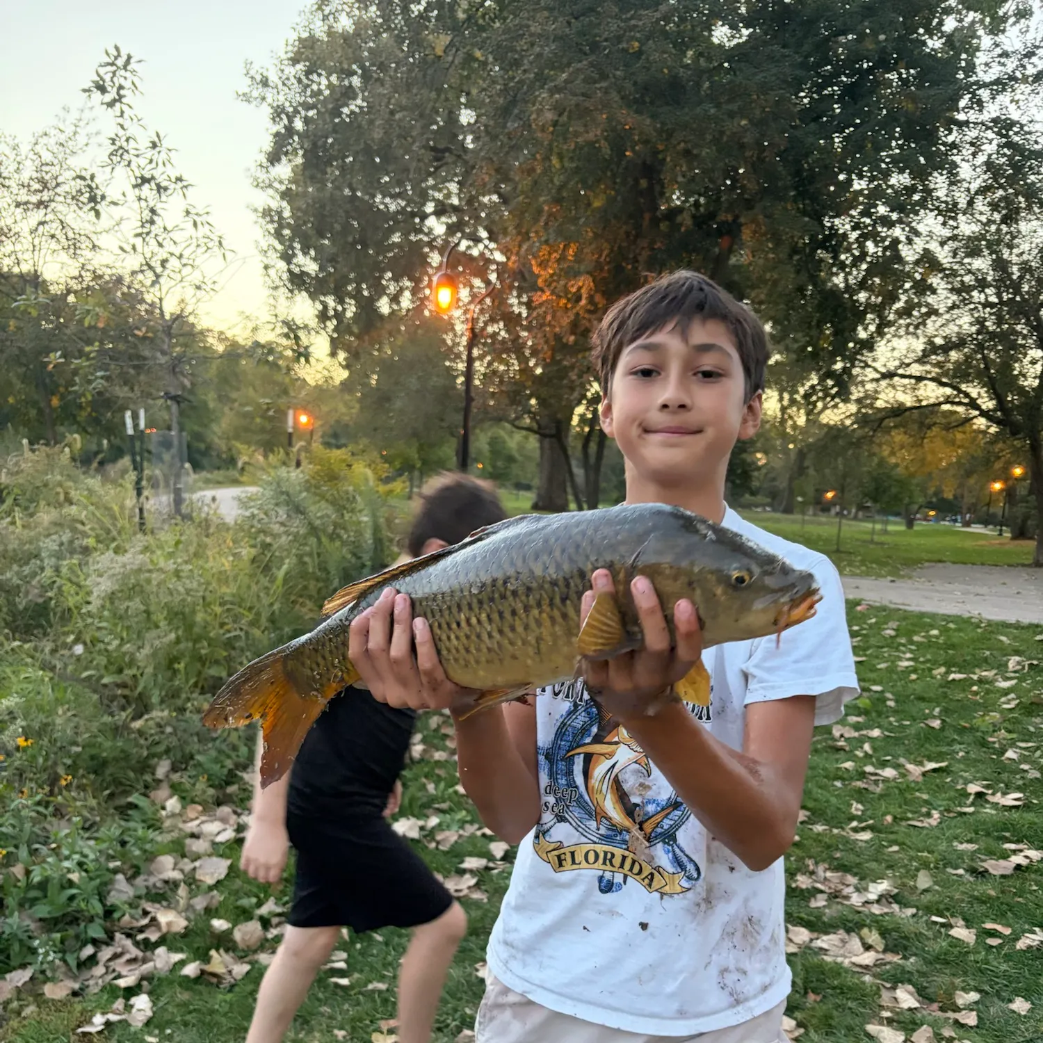 Common carp caught on Fishbrain