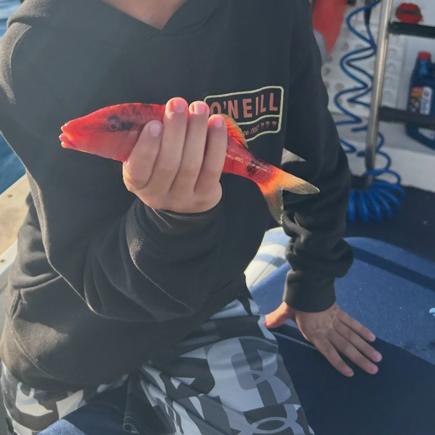 most liked catch image