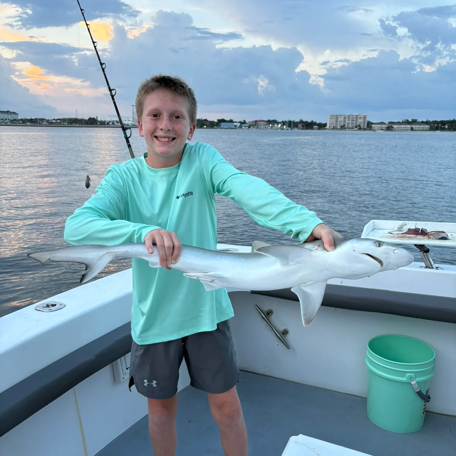 The most recent Milk shark catches on Fishbrain