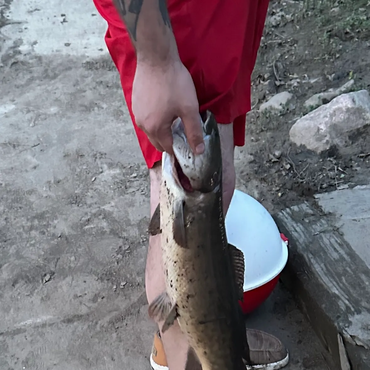 catch