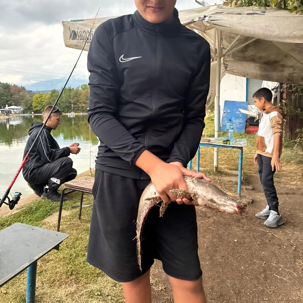Channel catfish caught on Fishbrain