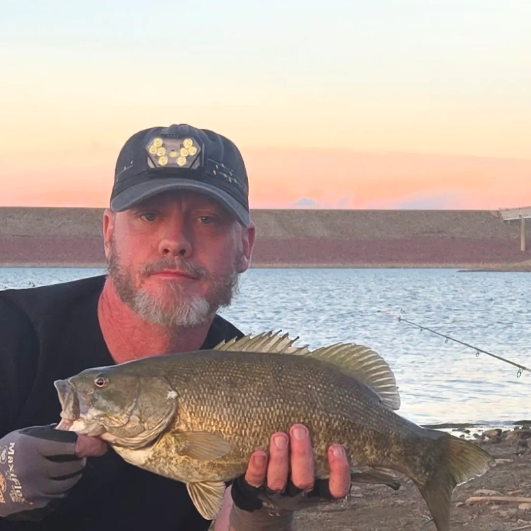 Smallmouth bass caught on Fishbrain