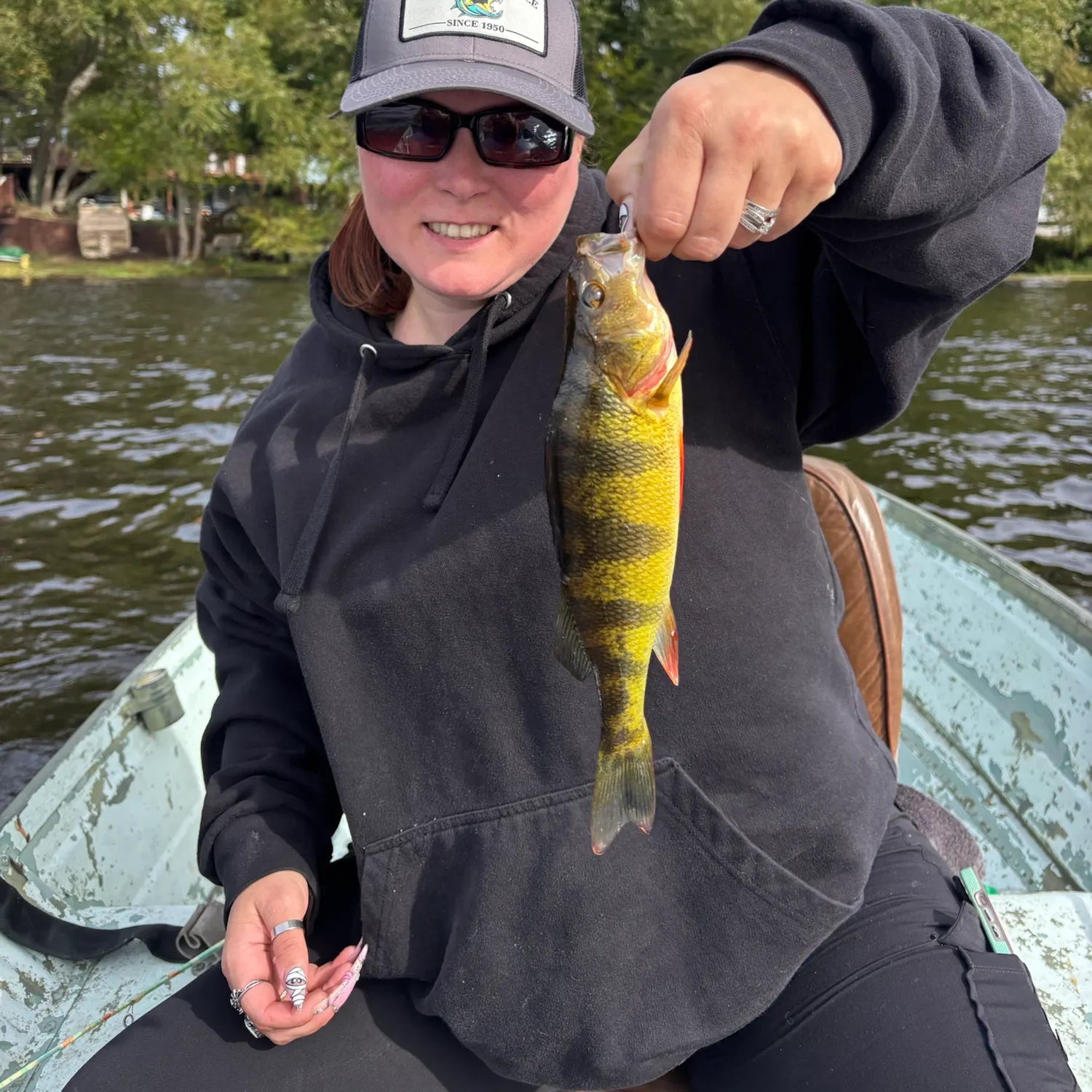 Yellow perch caught on Fishbrain
