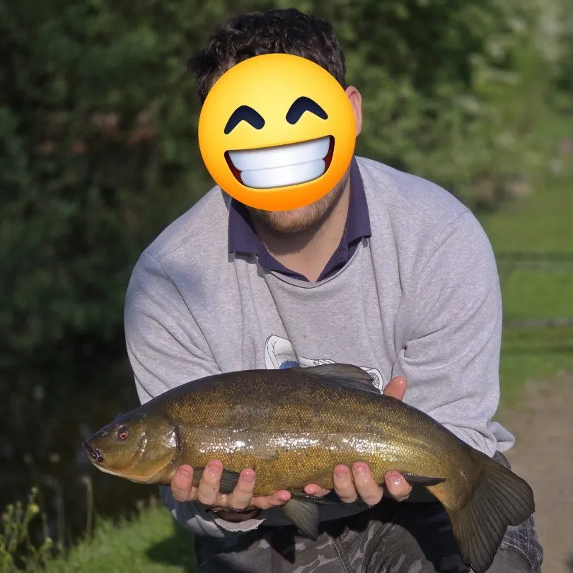 The most recent Tench catches on Fishbrain