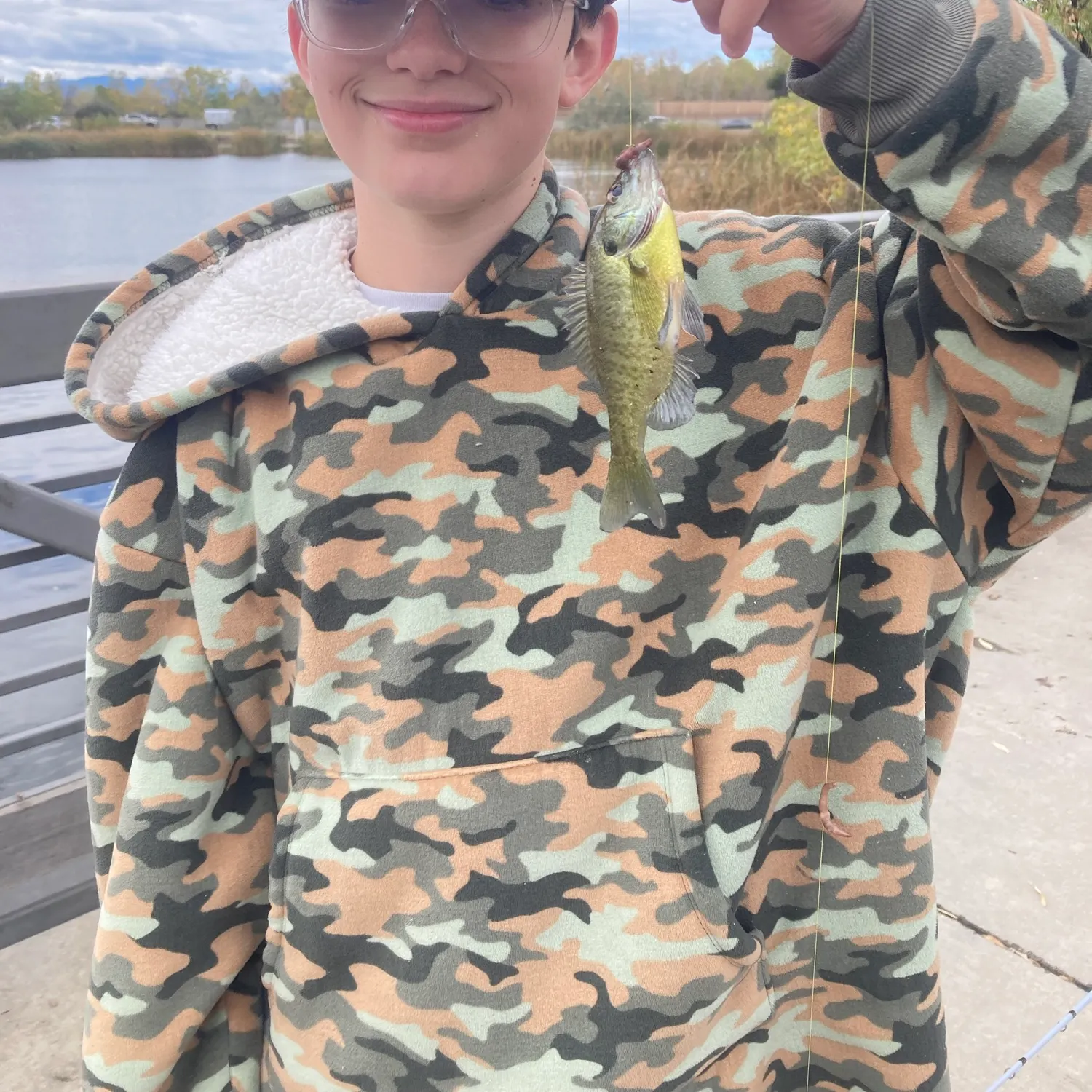 Bluegill caught on Fishbrain