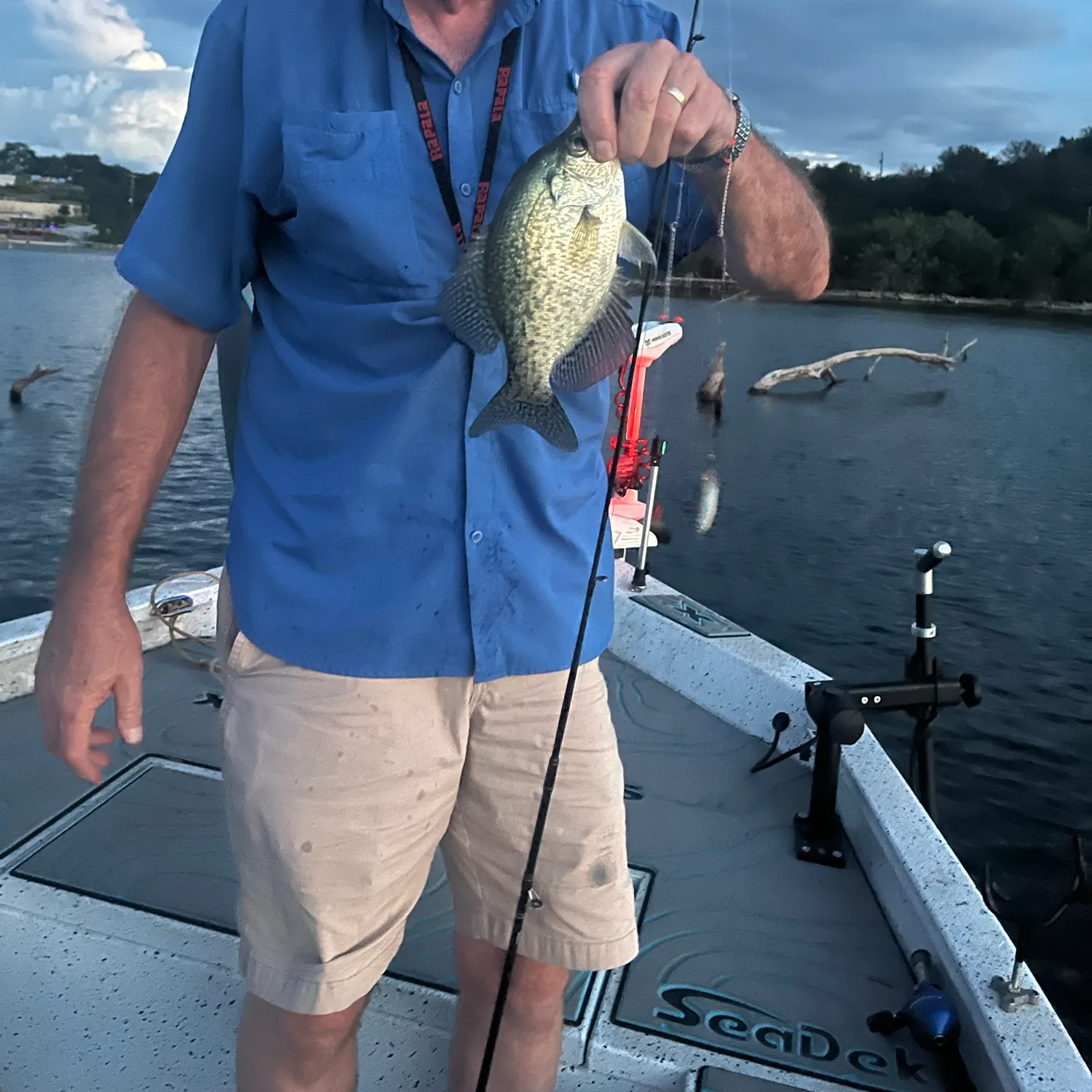 White crappie caught on Fishbrain