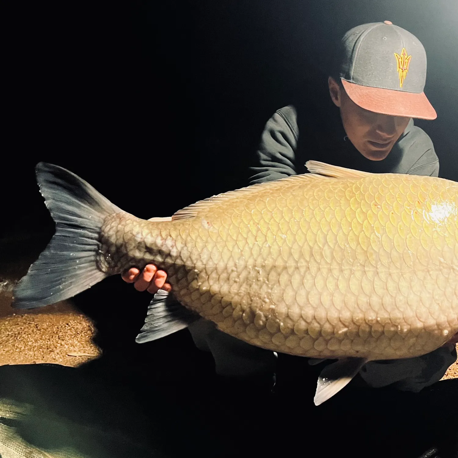 The most recent Smallmouth buffalo catches on Fishbrain