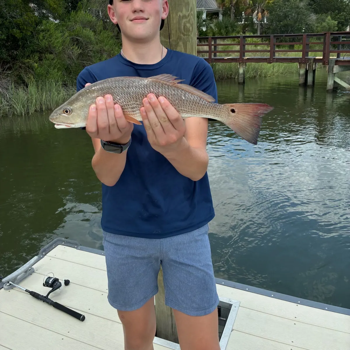 Red drum caught on Fishbrain