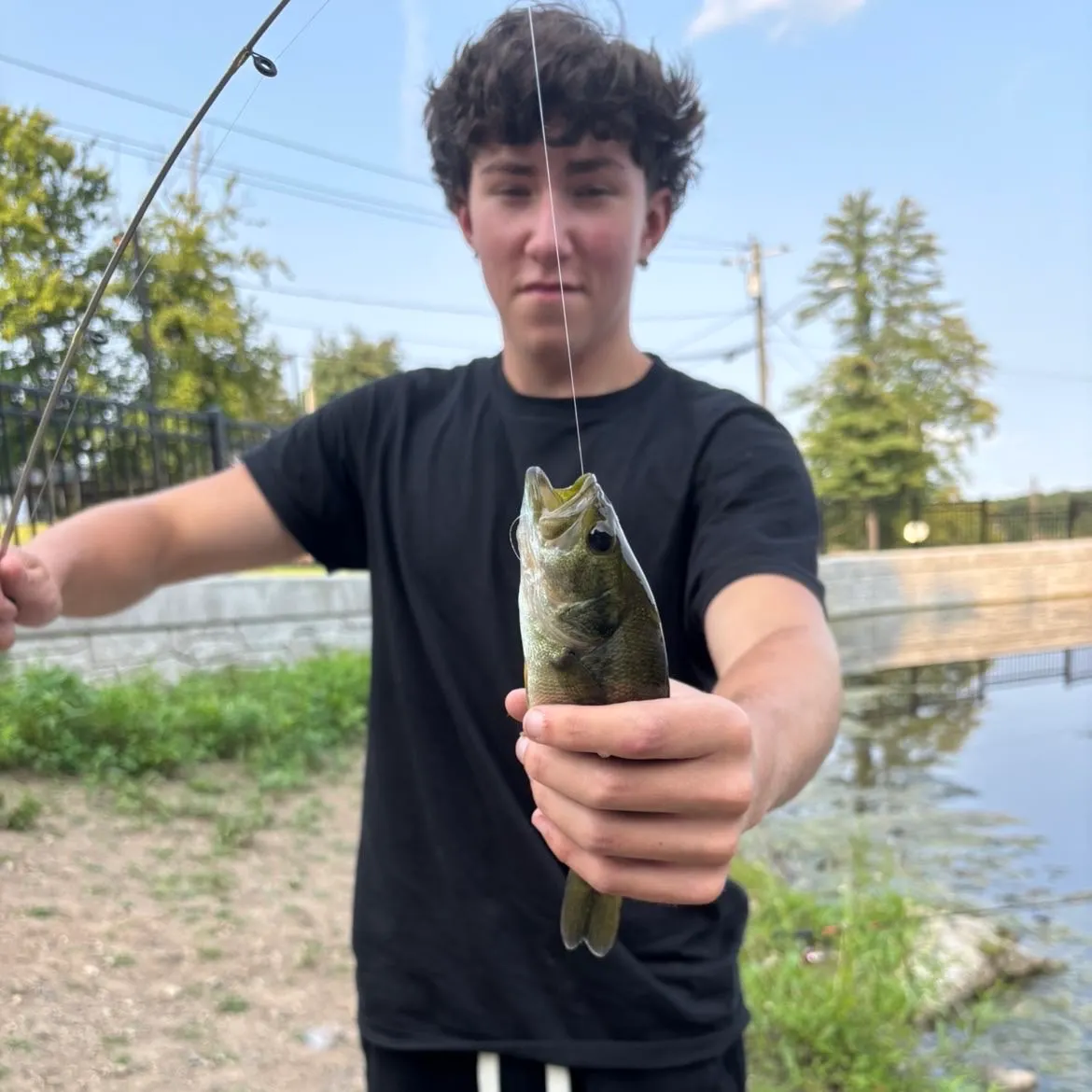 Largemouth bass caught on Fishbrain