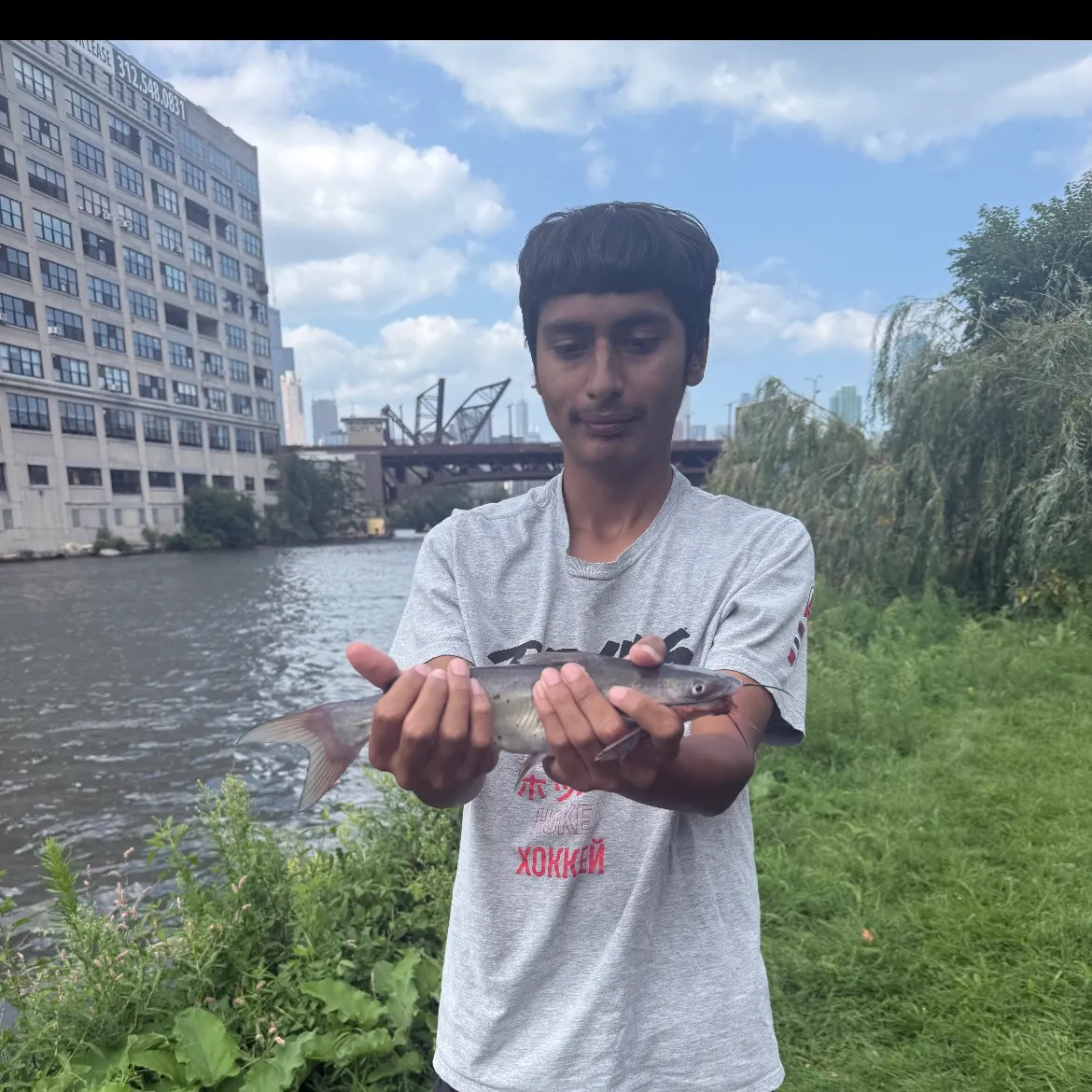 Channel catfish caught on Fishbrain