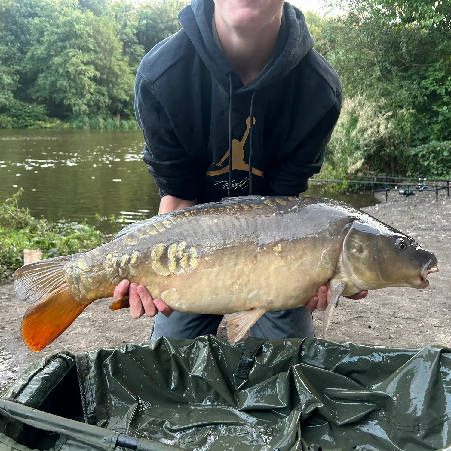 Mirror carp caught on Fishbrain