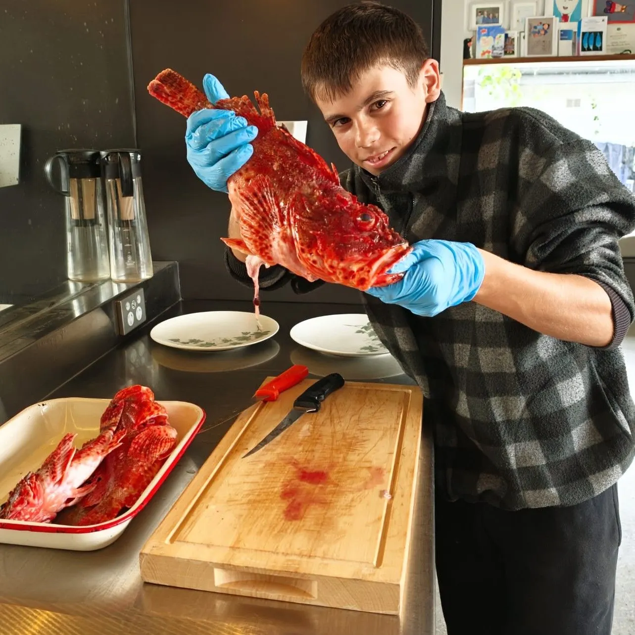 The most recent Eastern red scorpionfish catches on Fishbrain